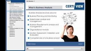 Business Analysis Demo