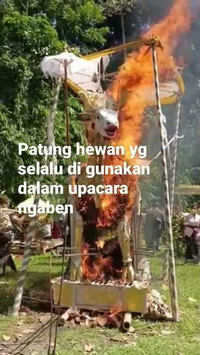 Lembu patung hewan yg di selalu di gunakan untuk ngaben #shorts