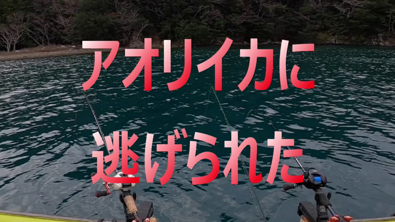 石倉渡船 アオリイカに逃げられる Youtube