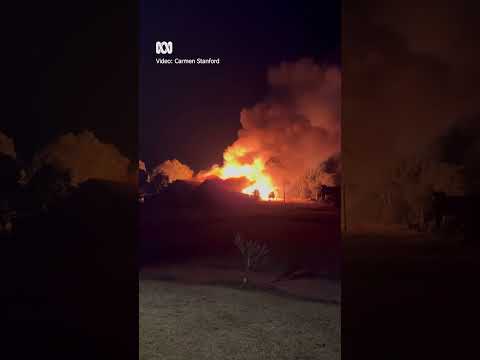 Queensland's oldest winery was just destroyed in an intense fire | ABC Australia