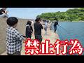 堤防に居た全員が禁断の仕掛けで海の主を引きずり込む姿をカメラに収めた