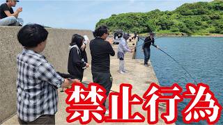 堤防に居た全員が禁断の仕掛けで海の主を引きずり込む姿をカメラに収めた