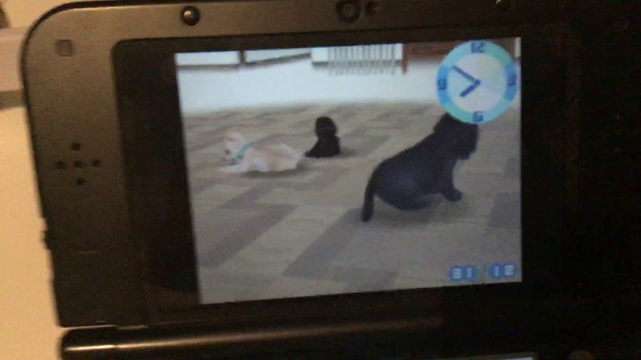 Nintendogs YouTube