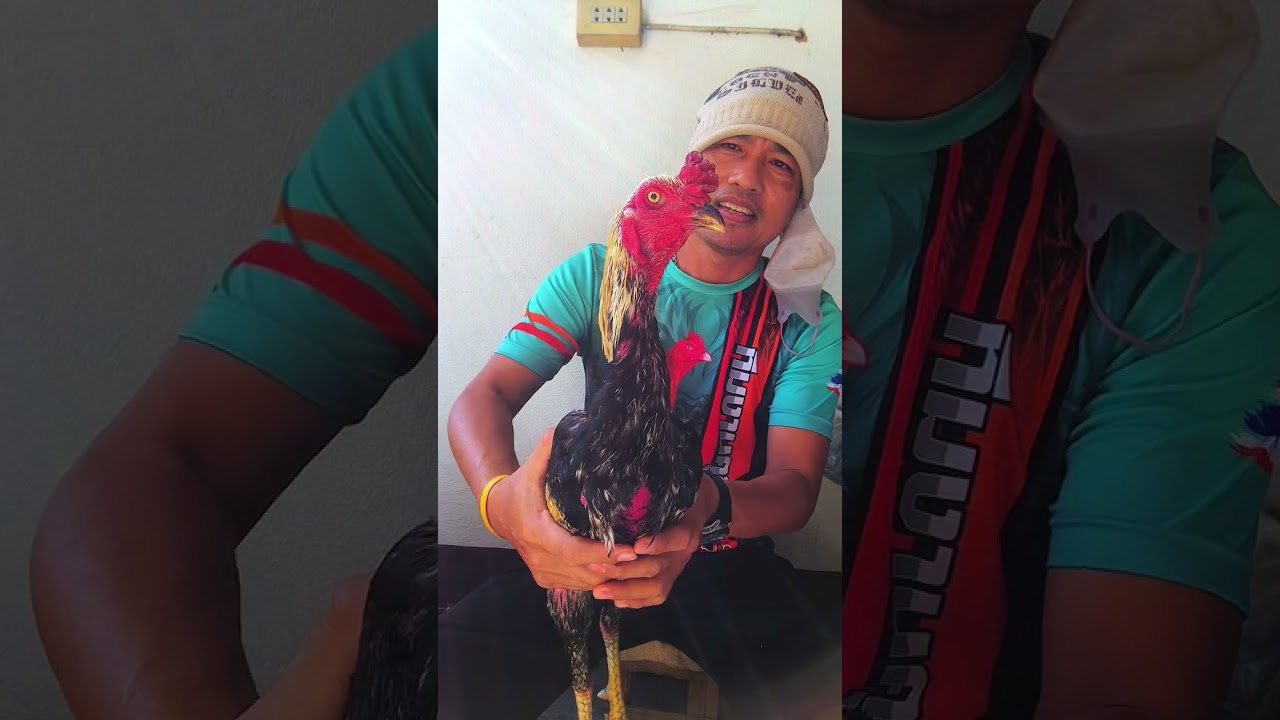 5 กุมภาพันธ์ 2569