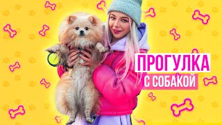 картинка: В ПЕРВЫЙ РАЗ ВЫГУЛИВАЕМ СОБАЧКУ ЭЛИС ВЕСНОЙ | ИСКУПАЛАСЬ В ЛУЖЕ | ВСЯ ГРЯЗНАЯ