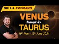 For All Ascendants | Venus transit in Taurus | 19th May - 12th June 2024 | Analysis by Punneit