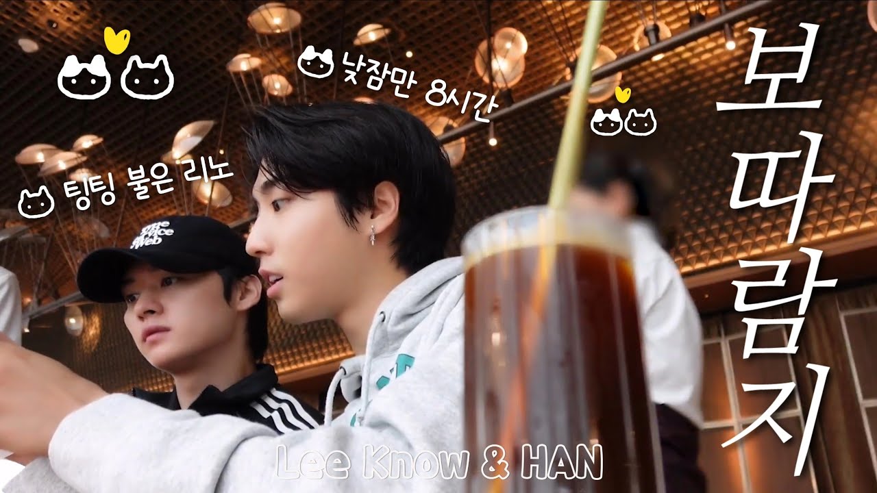 [스키즈 리노/한] 보따람지 모음 6탄