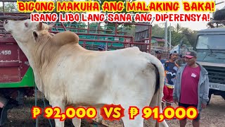 BIGONG MAKUHA ANG MALAKING BAKA! ISANG LIBO LANG SANA ANG DIPERENSYA! | SOLLE'S GANDANG BUHAY