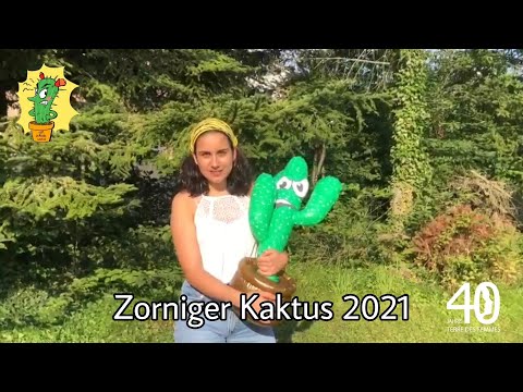 Zoniger Kaktus: TDF-Negativ-Preis fr sexistische Werbung - YouTube