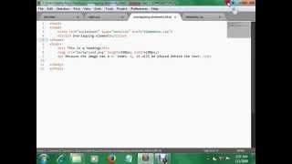 Famous Overlapping elements Net Worth