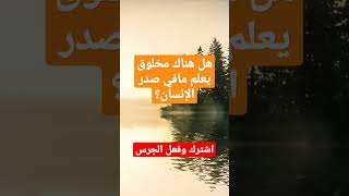 هل هناك مخلوق يعلم مافي صدر الإنسان؟ #عثمان_الخميس #shorts #shortvideo #short