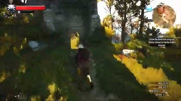 The Withcher 3 Level up fast  Cheat engine 6.4