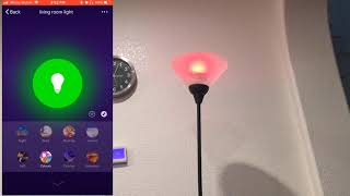 Teckin Smart Bulbs Install Set Up Instructions