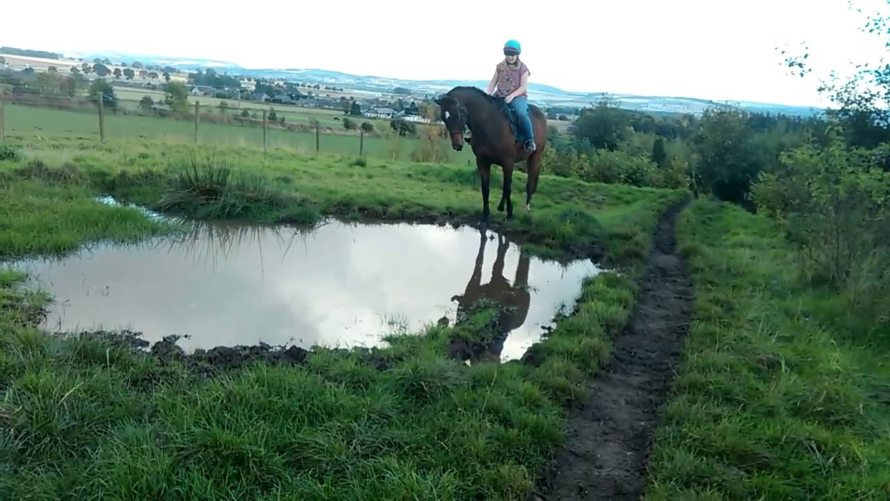 ThrowBack Videos YouTube