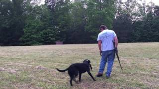 IMG 0970