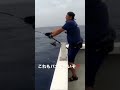 巨大マグロと勝負‼️ 果たしてぇ〜