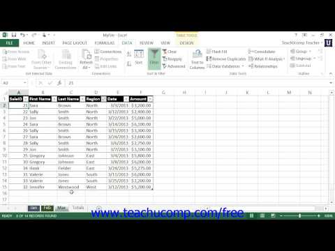 Excel 2013 Tutorial Using AutoFilters Microsoft Training Lesson 22.1