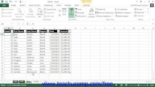 Excel 2013 Tutorial Using AutoFilters Microsoft Training Lesson 22.1