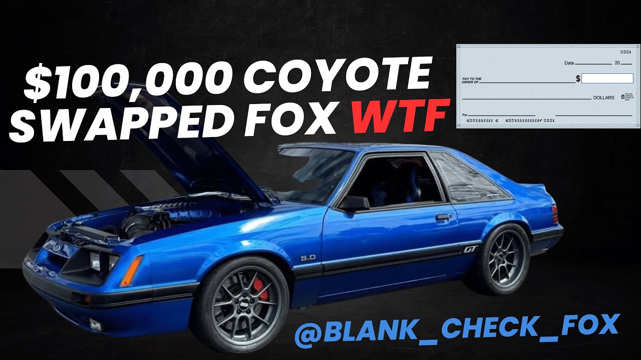 Swapped Fox $100,000 Coyote Swapped Fox with a Blank Check - YouTube