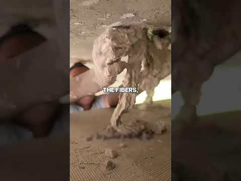 The 200-Year-Old Wadding Method That Holds Ceilings Without Screws