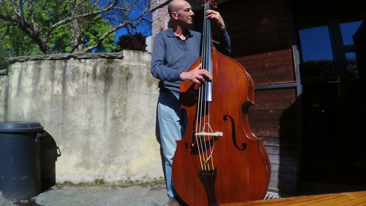 Suite of birds and a crow