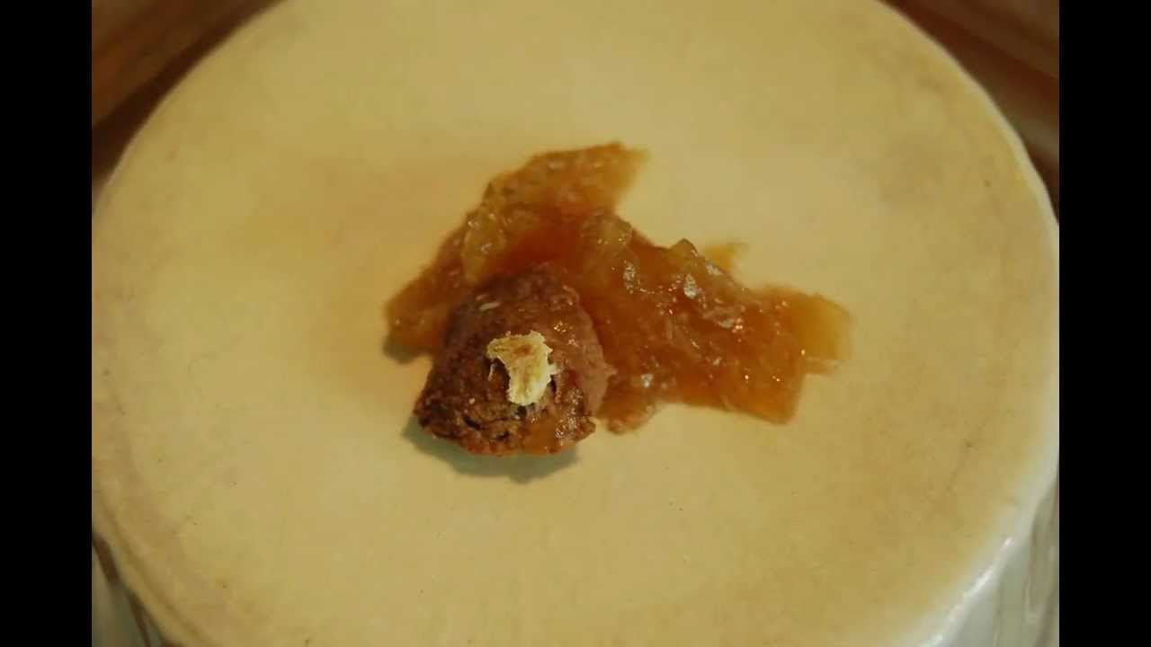 Maggots Timelapse Pt 2