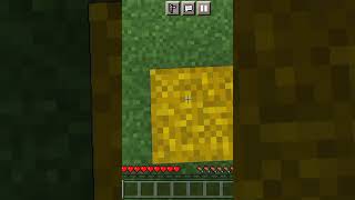 #shortvideo #minecraft #m.a.g #respect #viral #1ksubscribers #youtubeshorts  #subscribe #game #
