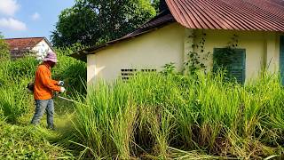 Neighbors Thought This House Was Lost Forever — Until She Cleared the Weeds