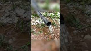 Thar' She Blows! | KH Campus Water Update