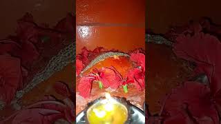 Highlight 837 - 1337 From Madhu Singh Is Live