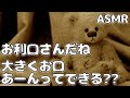 【ASMR】病院にトラウマがあり熱を隠そうとする彼女を 赤ちゃん扱いで優しく看病する医者彼氏…【シチュエーションボイス】【女性向け】