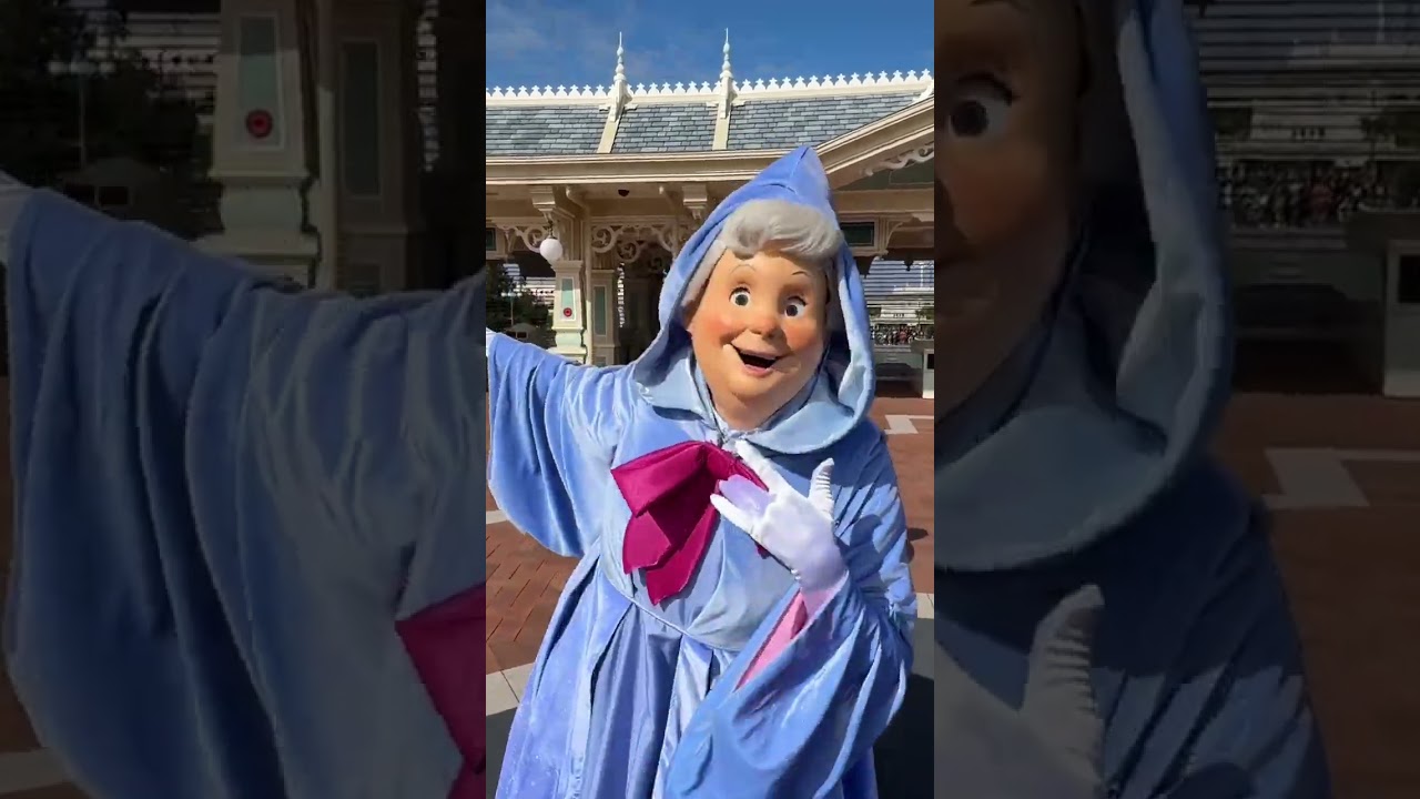 Fairy Godmother welcomed us back to Tokyo Disneyland!
