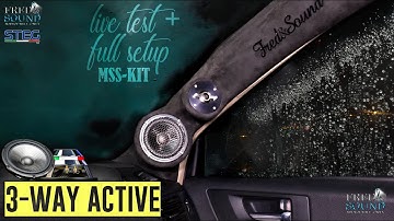 Visit Me If You Have Time Off STEG MSS 3-WAY ACTIVE LIVE TEST+CUSTOM SETUP @frednsound