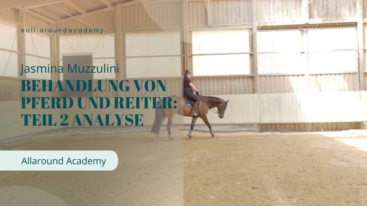 Google visual data 7