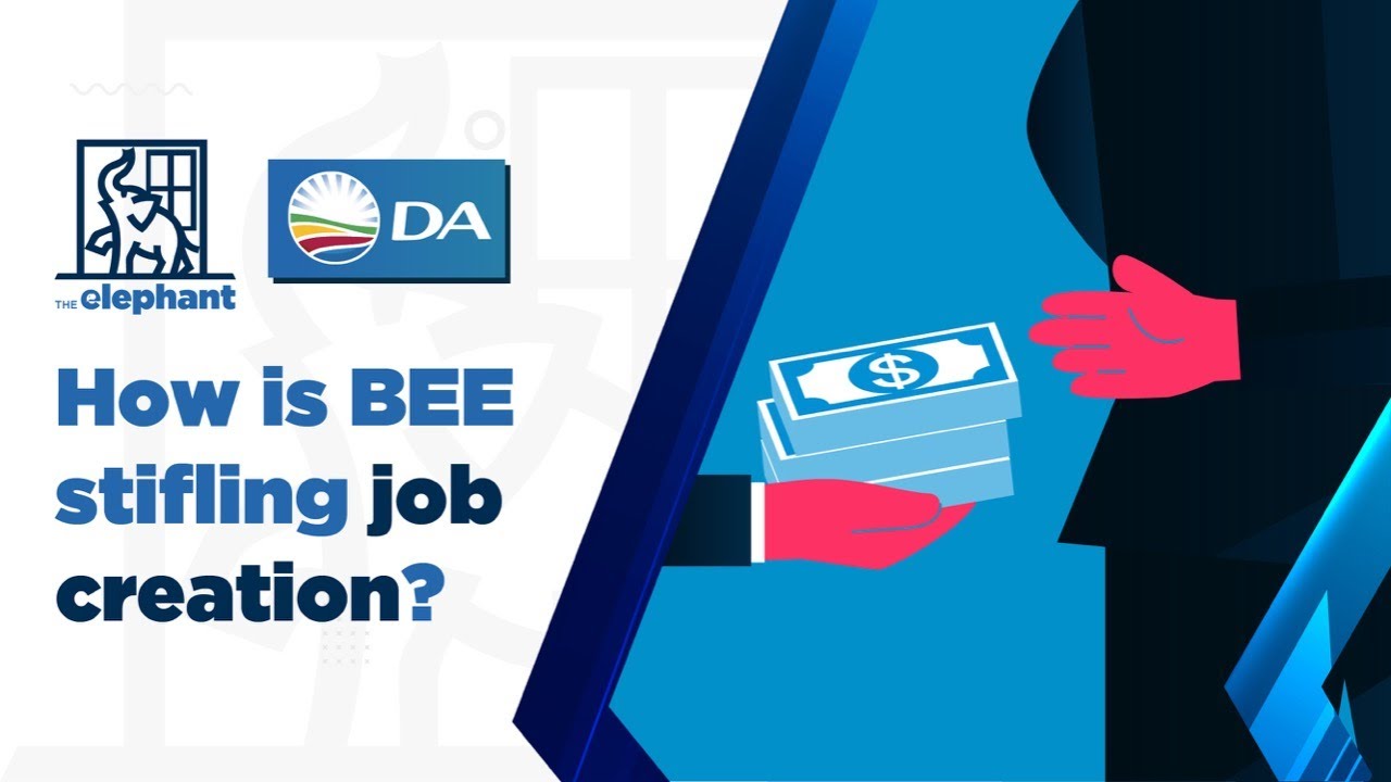 How is BEE stifling job creation?