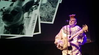 Puddles Pity Party I Want You To Want Me