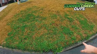 How To Quote Lawn Care Mowing Jobs (The One With The Overgrown Hedges)