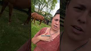 Happy Update! ☀️#katievanslyke #foal #horses #equestrian #horsegirl #animals