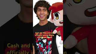 XGang stays at the top