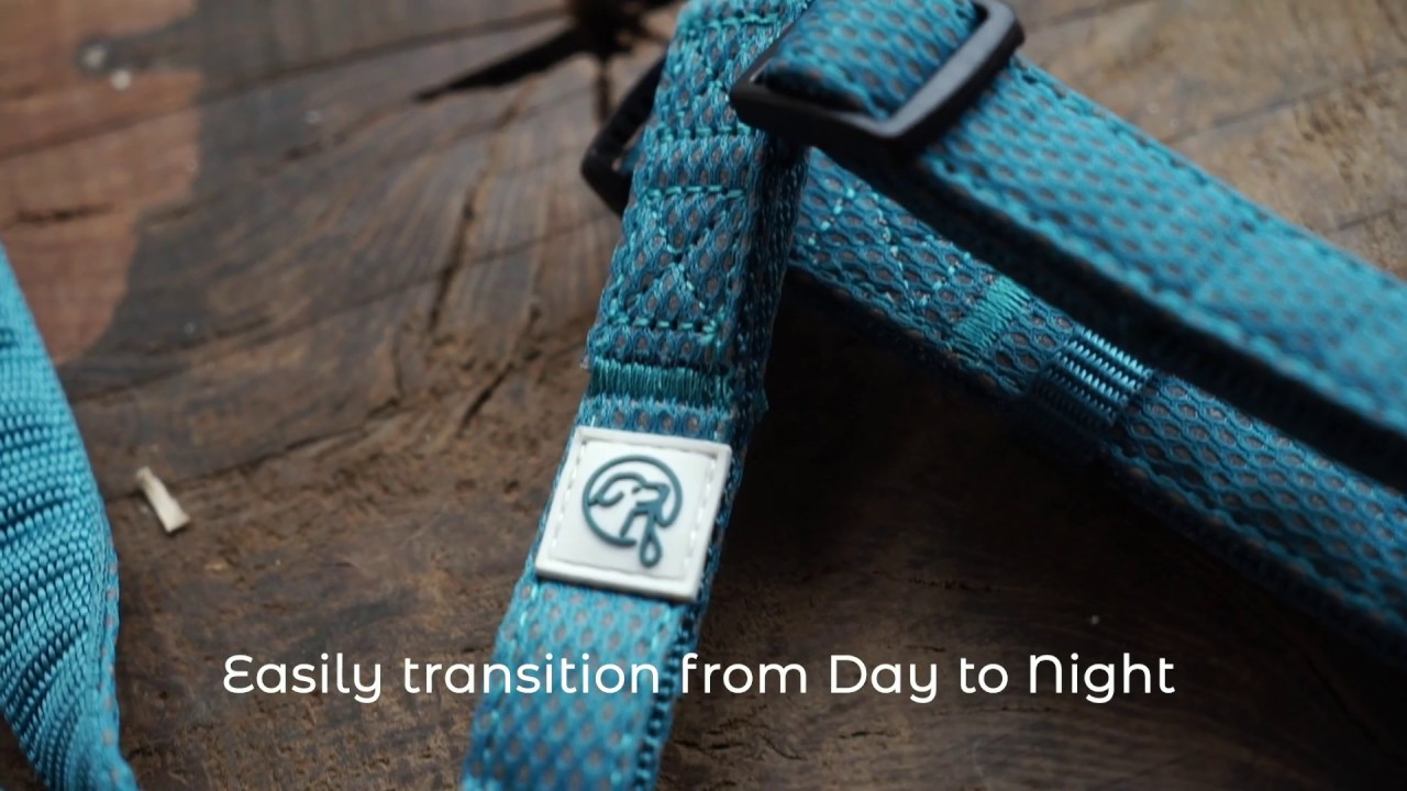 The Illuminate Reflective Dog Harness, Leash, and Collar by Embark Pets