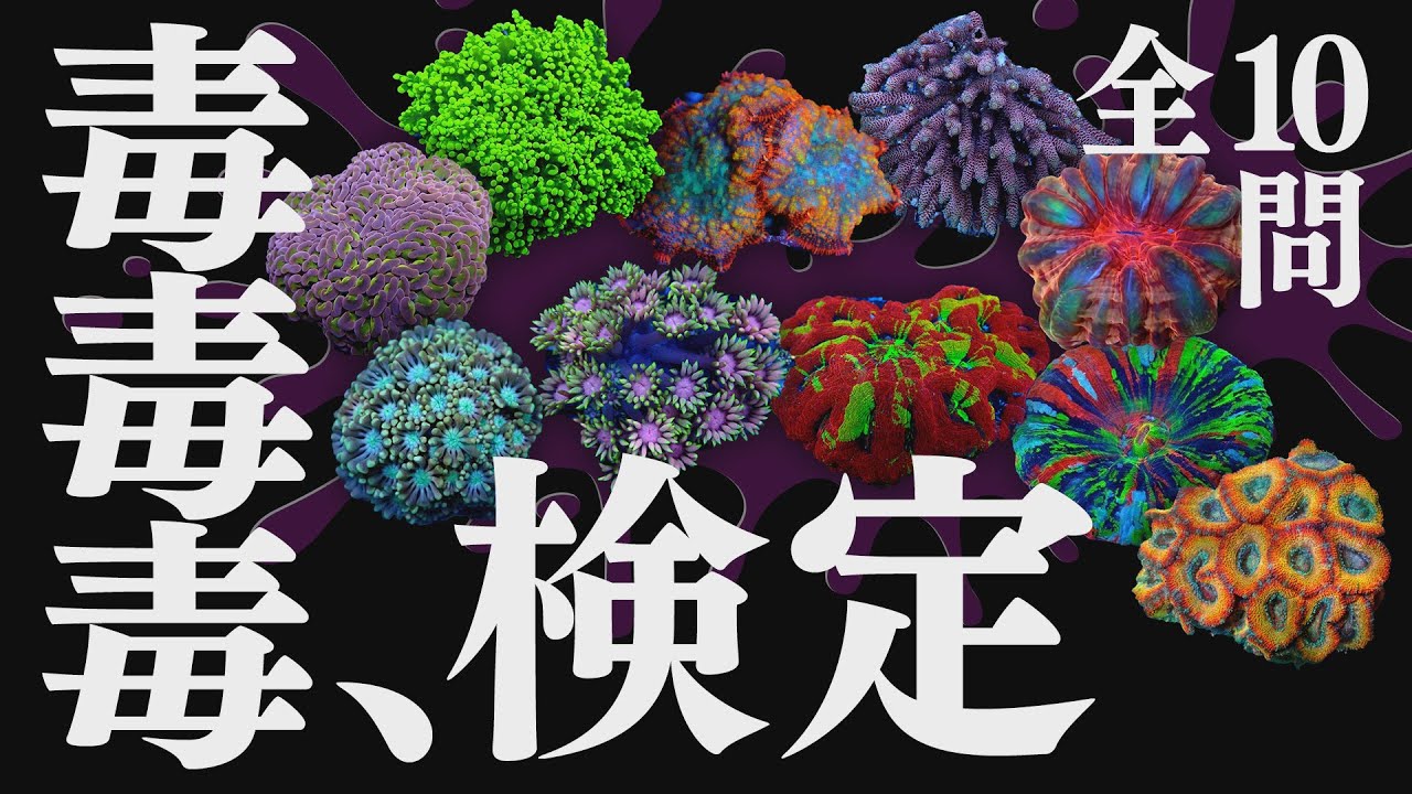 これで あなたも “サンゴ接触マスター” 東大入試より難しい｢毒検定｣! クイズ《サンゴ水槽》【2022年9月号 vol.5】