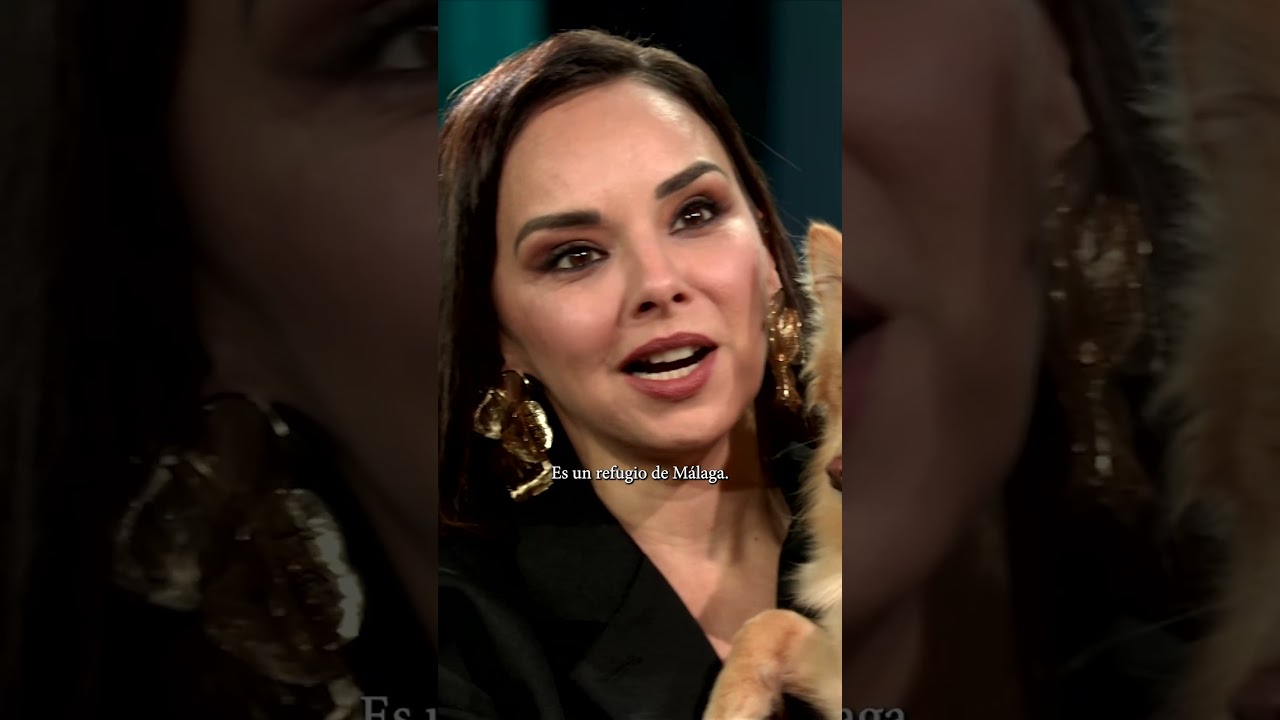 Un perro adoptado es un perro feliz | 