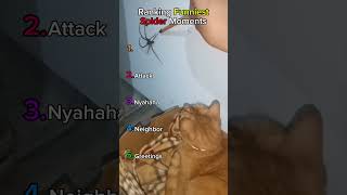 Try Not To Laugh 😂 | funny spider moments #shorts