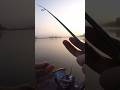 #addio #artificiale !!! #shorts #viral #bassfishing #riverfishing #spinning #crash #line