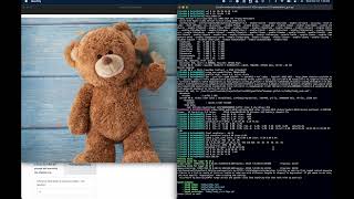 Go-with-the-Flow Cut-and-Drag Tutorial : CVPR 2025