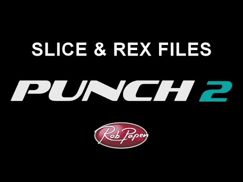 Punch 2 Slice and REX files