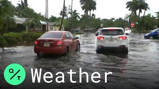 Famous Flash flooding and heavy rains in Florida have left cars submerged in water Wealth