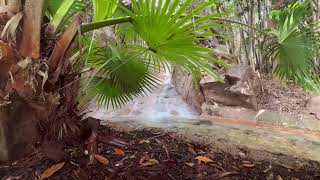 Moment of Calm 🌿 Gentle Waterfall & Swaying Palm Leaf | 16 Minutes of Relaxation in 4K screenshot 2