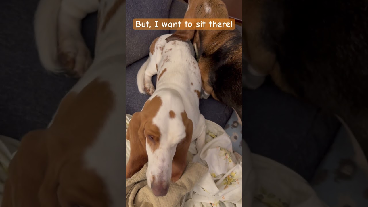 Poor Dudley. Higgins is ridiculous! 