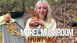 Hunting Morel Mushrooms (Hickory Chickens) in East Tennessee.